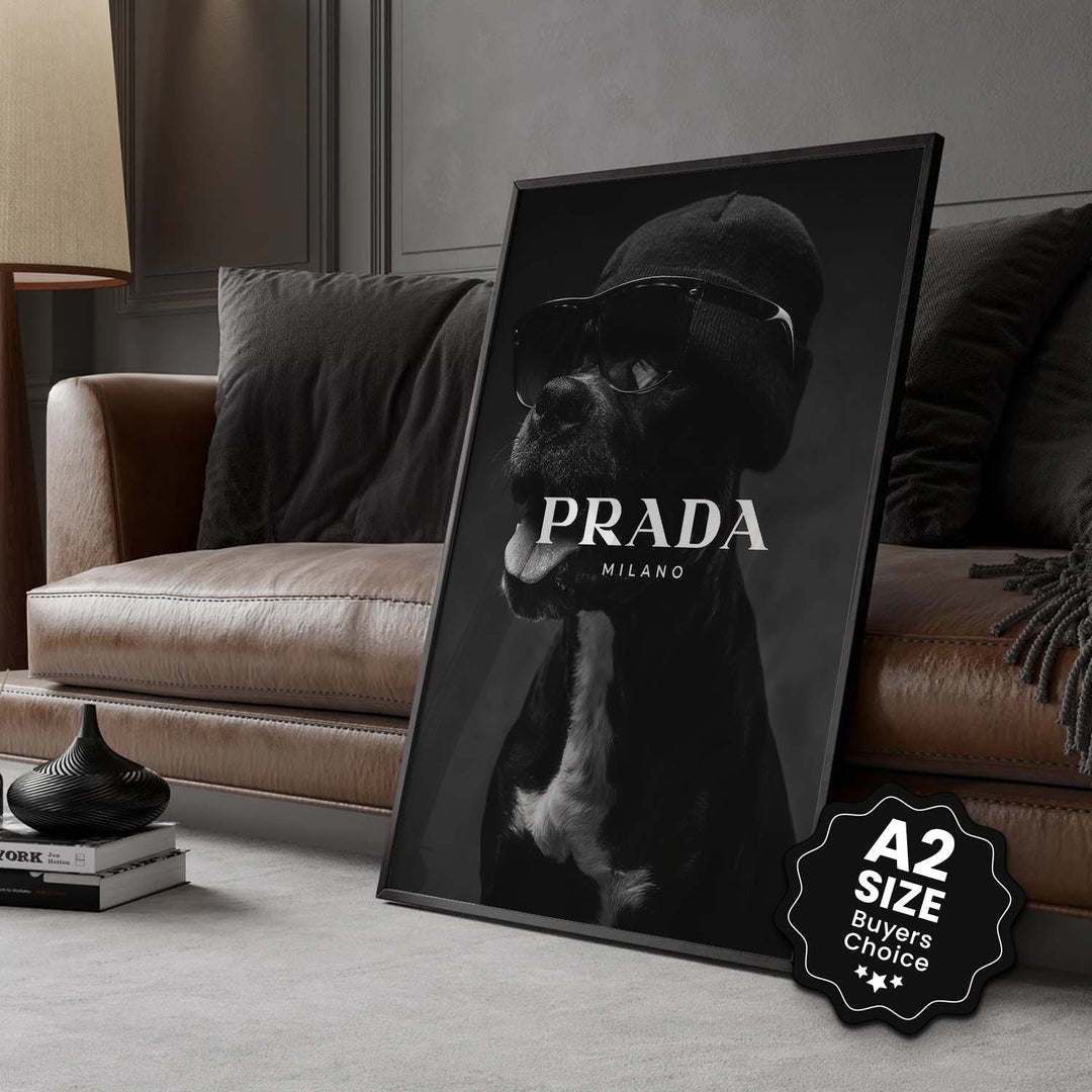 Black & White "Prada Pitbull"