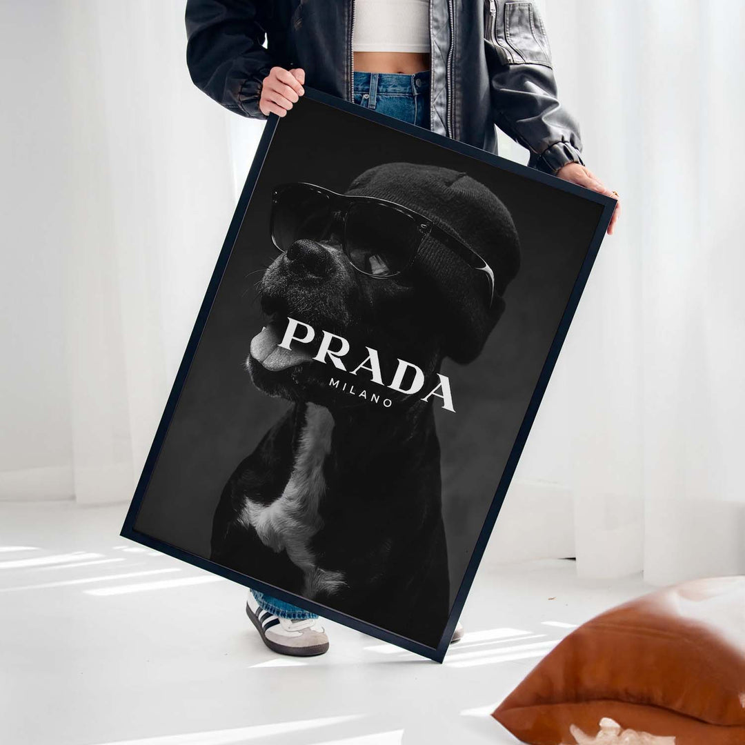 Black & White "Prada Pitbull"