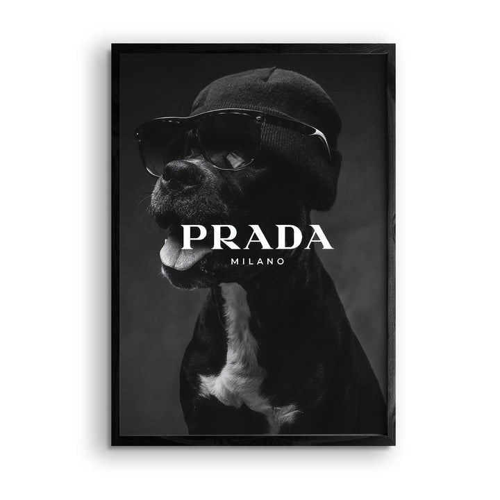 Black & White "Prada Pitbull"