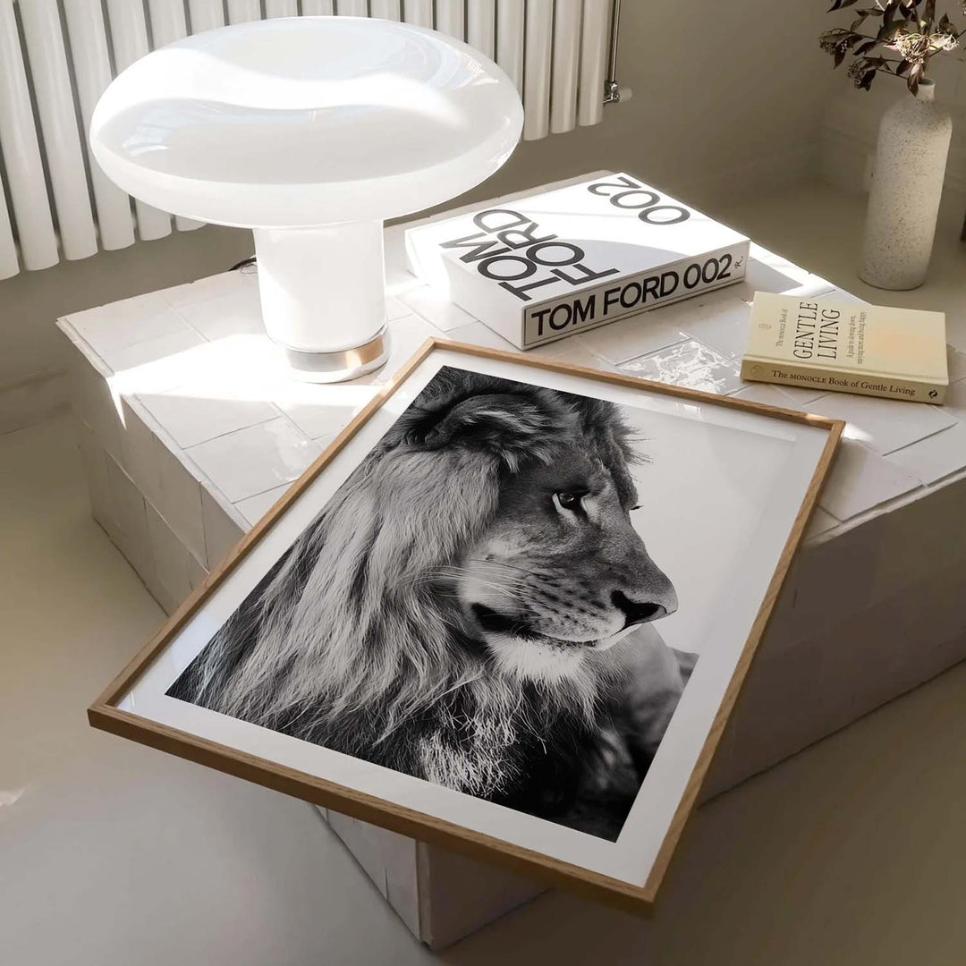 Black & White "Lion Gaze"