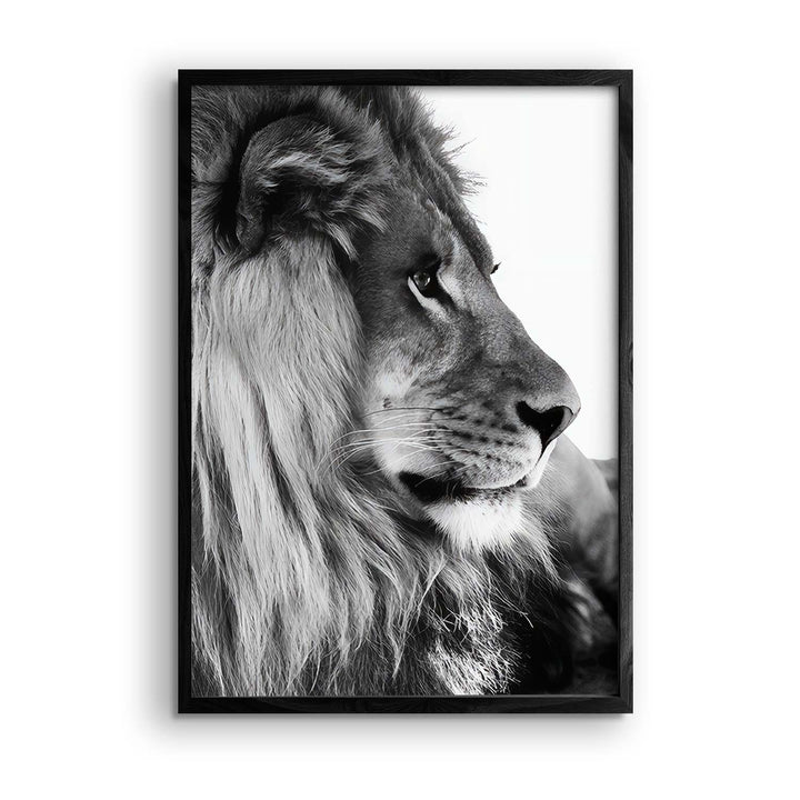 Black & White "Lion Gaze"