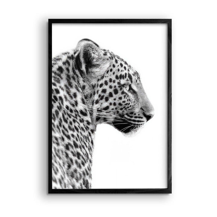 Black & White "Leopard Gaze"