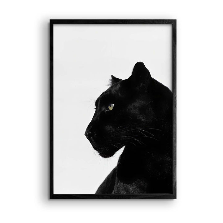 Black & White "Black Leopard Gaze"