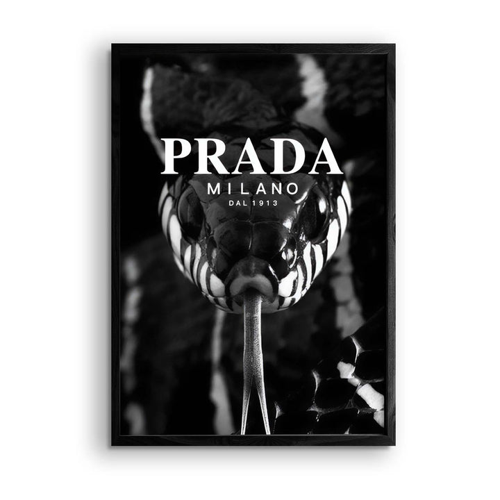 Black & White "Prada Snake"