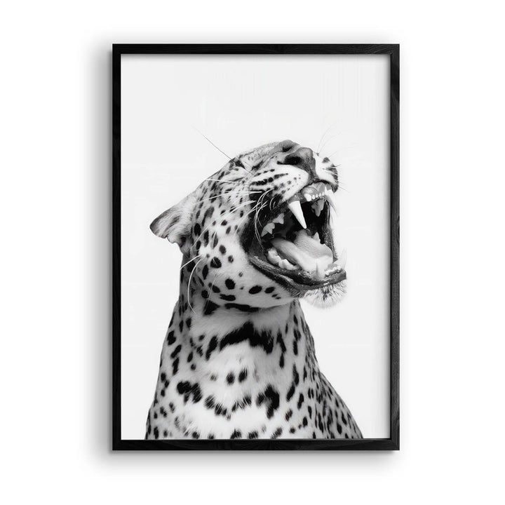 Black & White "Laughing Leopard"