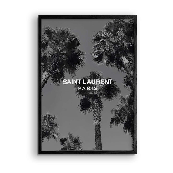 Black & White "Saint Laurent Palms"