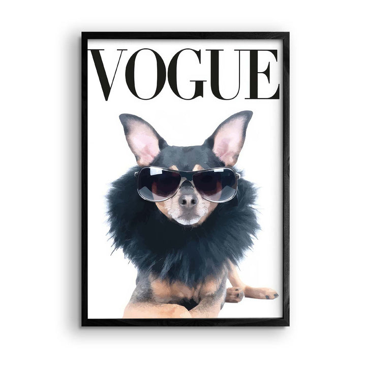 Black & White "Vogue Chihuahua"